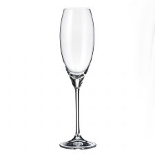 Набор бокалов для шампанского Crystalite Bohemia Carduelis/Cecilia 290 мл (6 шт)