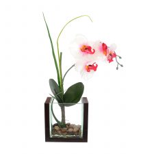 Композиция цветочная Орхидея 30см
